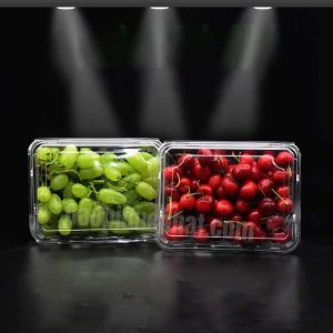 Hộp nhựa PET 500g đựng hoa quả