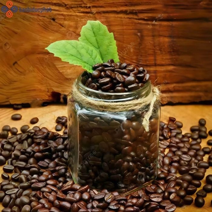 Hũ thủy tinh đựng cà phê hình lục giác 500ml