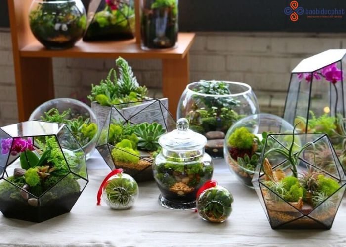 Trang trí hũ thủy tinh - 7 ý tưởng tái chế và decor độc đáo