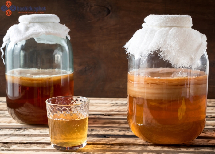 Mẹo ngâm trà kombucha bằng hũ thủy tinh lớn an toàn