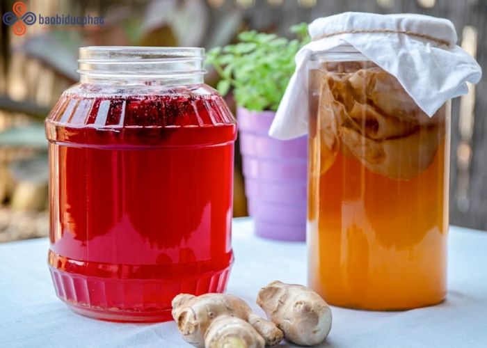 Mẹo ngâm trà kombucha bằng hũ thủy tinh lớn an toàn