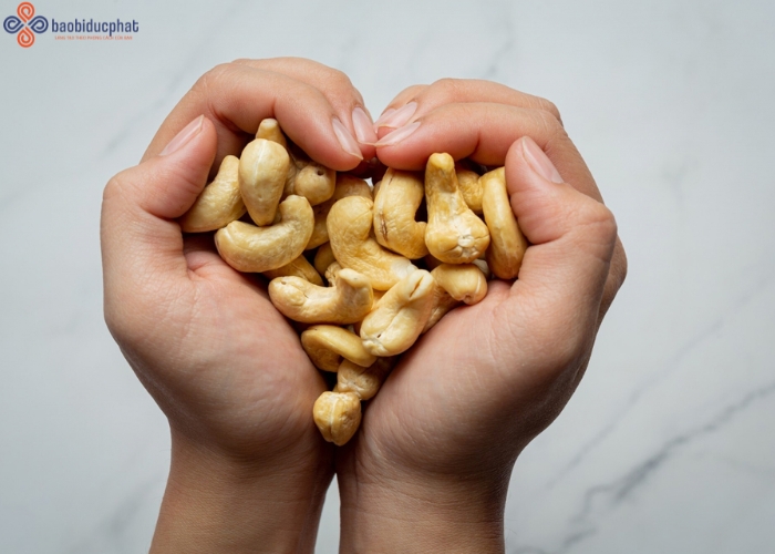 Hạt điều để được bao lâu? Hướng dẫn bảo quản hạt điều đúng chuẩn