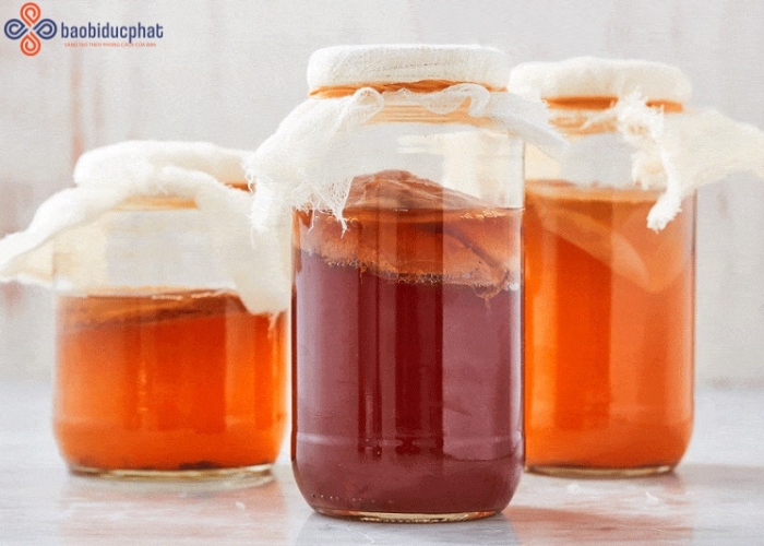 Mẹo ngâm trà kombucha bằng hũ thủy tinh lớn an toàn