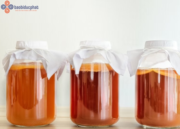 Mẹo ngâm trà kombucha bằng hũ thủy tinh lớn an toàn