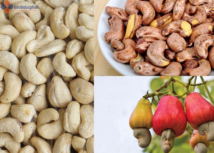 Hạt điều để được bao lâu? Hướng dẫn bảo quản hạt điều đúng chuẩn
